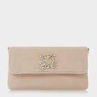 Dune London Betsey Jewelled Brooch Clutch Bag