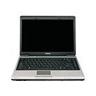 Toshiba Satellite Pro M300 (PSMD9A-003002)