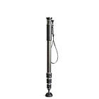 Gitzo Carbon Monopod GM4542
