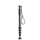 Gitzo Carbon Monopod GM4552L