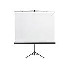 Kingpin Screens Tripod Screen TS180 1:1 100" (180x180)