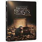 Fantastic Beasts and Where to Find Them - SteelBook (3D)