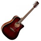 Tanglewood Winterleaf TW5 (CE)