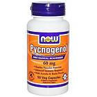 Now Foods Pycnogenol 60mg 50 Kapslar