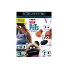 Husdjurens Hemliga Liv (UHD+BD)