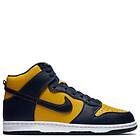 Nike Dunk Retro High (Herre)