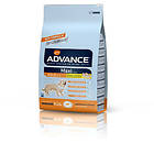 Affinity Dog Advance Maxi Adult 14kg