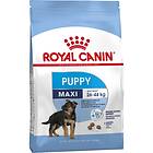Royal Canin SHN Maxi Puppy 15kg