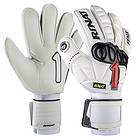 Rinat Fenix NRG Semi