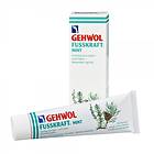 Gehwol Mint Cooling Foot Balm 75ml