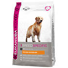 Eukanuba Dog Breed Golden Retriever 12kg