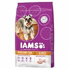 Iams ProActive Dog Mature & Senior All Breeds 3kg