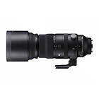 Sigma 150-600/5-6,3 DG DN OS Sports for Sony FE