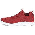 Puma Ignite Flash EvoKnit (Men's)