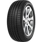 Minerva F205 255/30 R 19 91Y