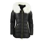 Rockandblue Eve Jacket (Women's)