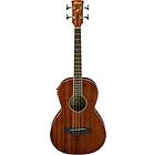 Ibanez PNB14E (E)
