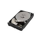 Toshiba MG06ACA10TE 256MB 10TB