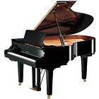 Yamaha C3X SH2