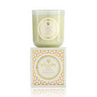 Voluspa Classic Maison Candle Pink Citron