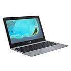 Asus Chromebook 12 C223NA-GJ0007