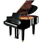 Yamaha C1X SH2