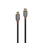 Lindy Anthra Line USB C - USB Micro-B 2.0 1m