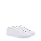 Fred Perry Ellerton (Dam)