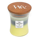 WoodWick Trilogy Medium Duftlys Icy Woodland