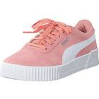 Puma Carina (Dam)