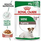 Royal Canin Mini Ageing 12+ 12x0,085kg