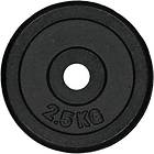 XXL Viktskiva 25mm 2.5kg