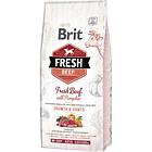 Brit Fresh Puppy Large 2,5kg