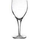 Luigi Bormioli Michelangelo Red Wine Glass 22.5cl 6-pack