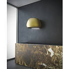 Witt Chubby Brass (Yellow)