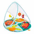 Fisher-Price Fold & Go Portable Babygym