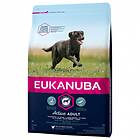 Eukanuba Active Adult Large Breed 15kg