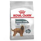 Royal Canin Dental Care Maxi 9kg