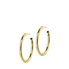 Edblad Hoops Gold Medium Øreringer (Dame)