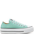 Converse Chuck Taylor All Star Seasonal Colour Platform Canvas Low Top (Dam)