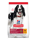 Hills Canine Science Plan Adult 1-6 Medium 14kg