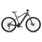 BH Atom 29