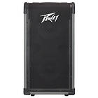 Peavey MAX 208