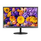 Lenovo ThinkVision TE24-10 24" Full HD IPS