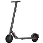 Ninebot by Segway KickScooter E25E