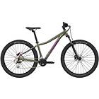 Cannondale Trail 6 Dam 2021