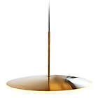 Graypants Chrona Dish17h