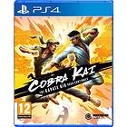 Cobra Kai: The Karate Kid Saga Continues (PS4)