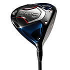 Callaway Big Bertha B21 Driver