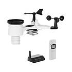 Steinberg Systems SBS-WS-600